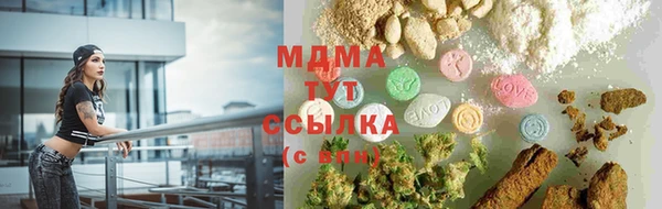 ГАЛЛЮЦИНОГЕННЫЕ ГРИБЫ Аркадак