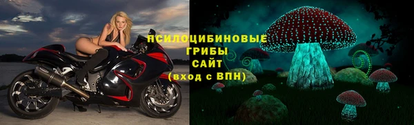 ГАЛЛЮЦИНОГЕННЫЕ ГРИБЫ Аркадак
