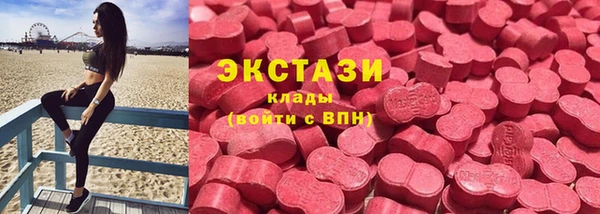 ГАЛЛЮЦИНОГЕННЫЕ ГРИБЫ Аркадак